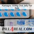 Kamagra 100Mg Oral Jelly For Sale new15